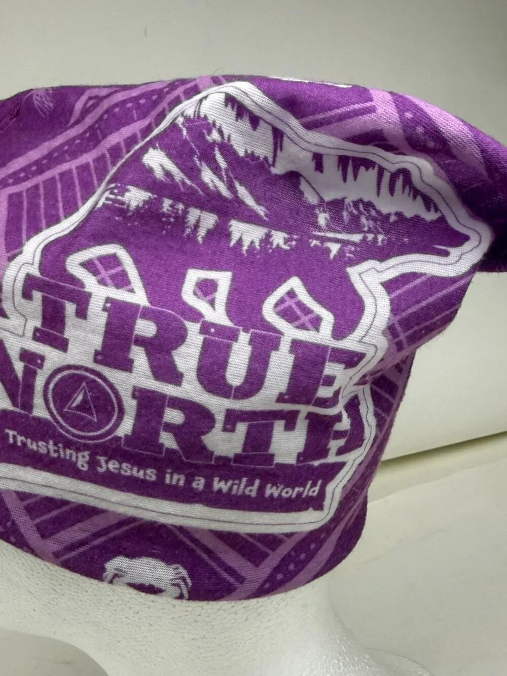 True North Trusting Jesus in a Wild World Purple Tube Bandana Scarf Headwear